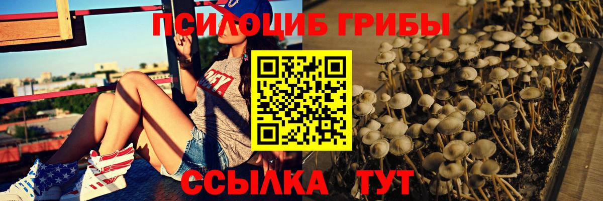 Галлюциногенные грибы мицелий Жуковский